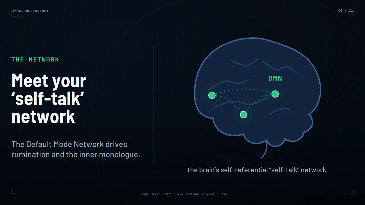 Episode 2, scene 05: The Default Mode Network — your 'inner monologue' system
